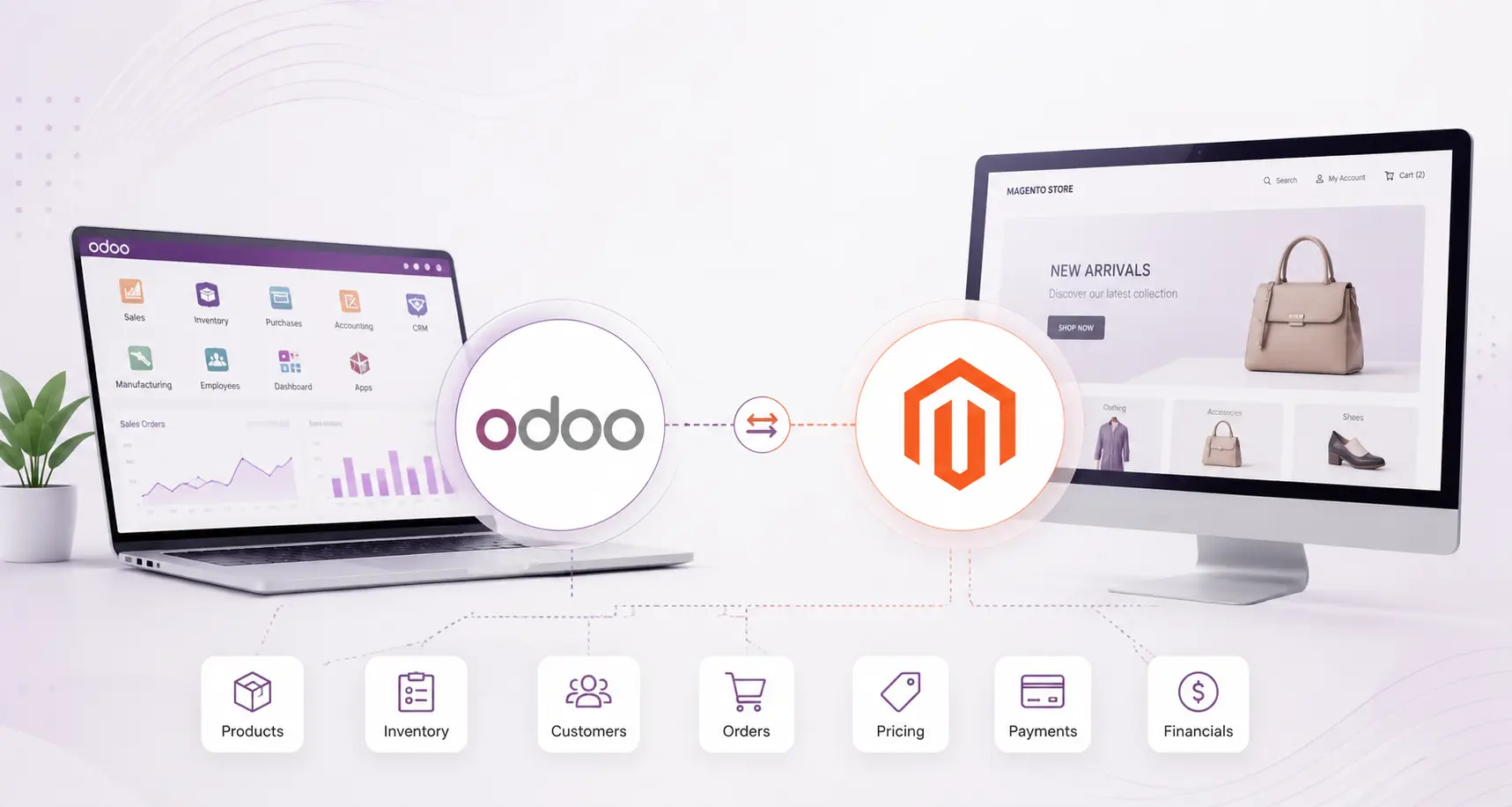 Odoo Magento